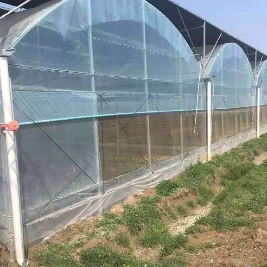 沭阳县 厂家直销:种植养殖水产可定制连栋棚 尺寸规格可调整