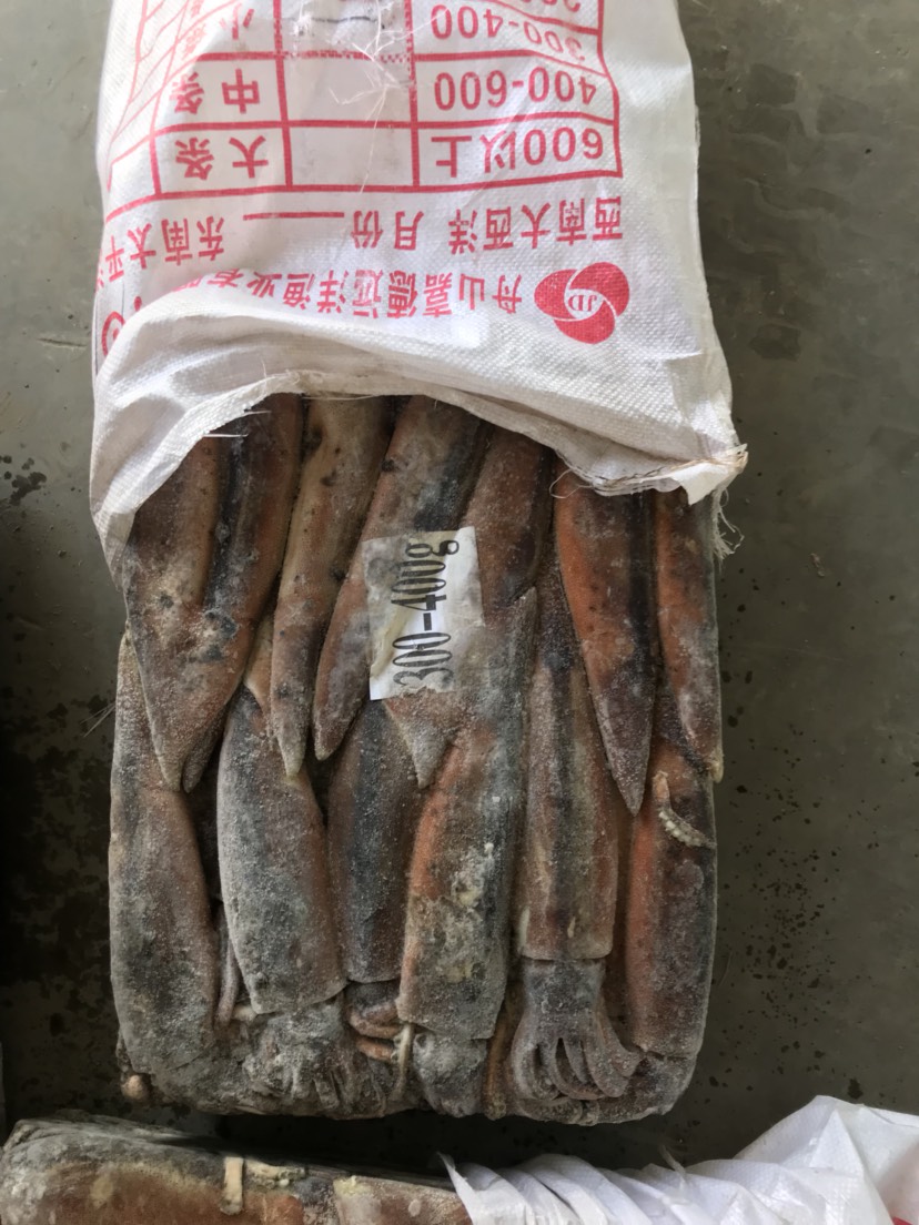  300/400阿根廷鱿鱼12.5kg