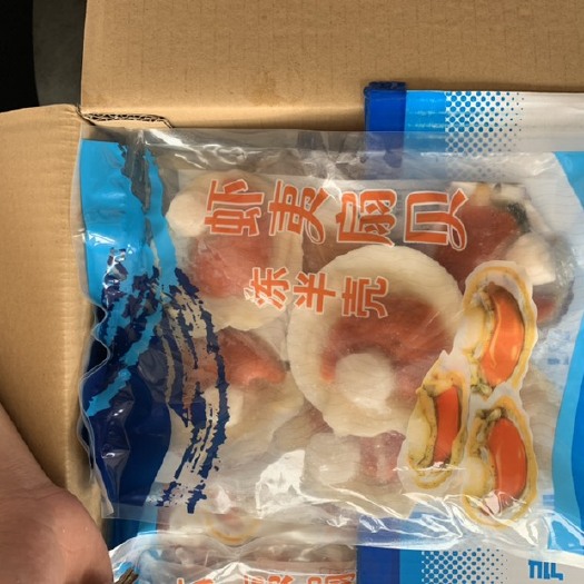 成都 虾夷扇贝