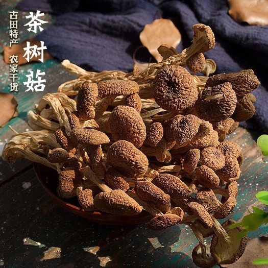 屏南县古田茶树菇干货  农家种植，产地直销250克