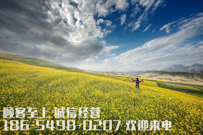  夏堇 时令草花