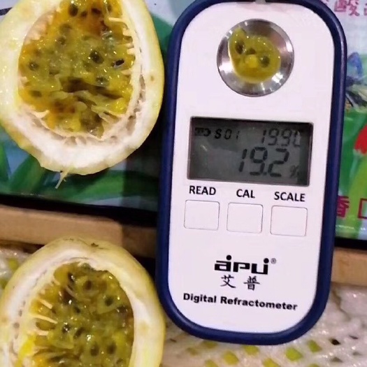 海口 海南芭乐味黄金百香果
