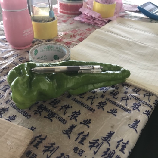 三原县二炮辣椒 二炮