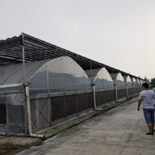 无锡种植大棚 大棚管厂供应草莓蔬菜连栋大棚质保价优可安装指导测量