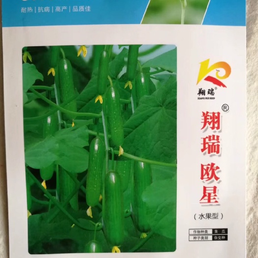夏邑县 翔瑞欧星水果黄瓜种子