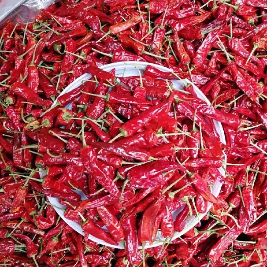 阜阳 正宗福建辣椒王香辣 肉厚 耐煮