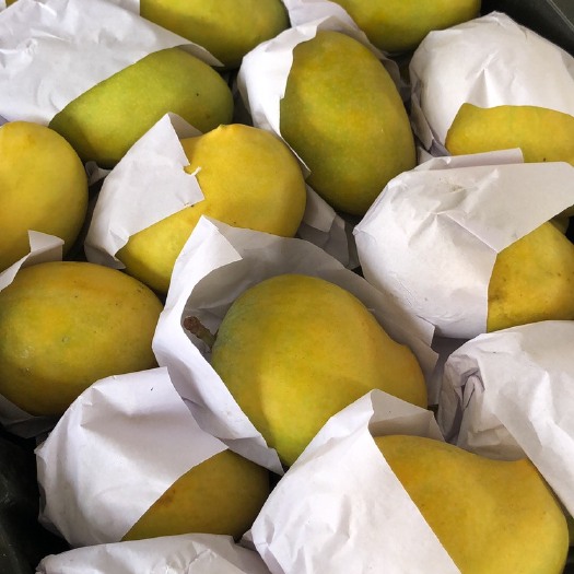 瑞丽市 缅甸圣德龙