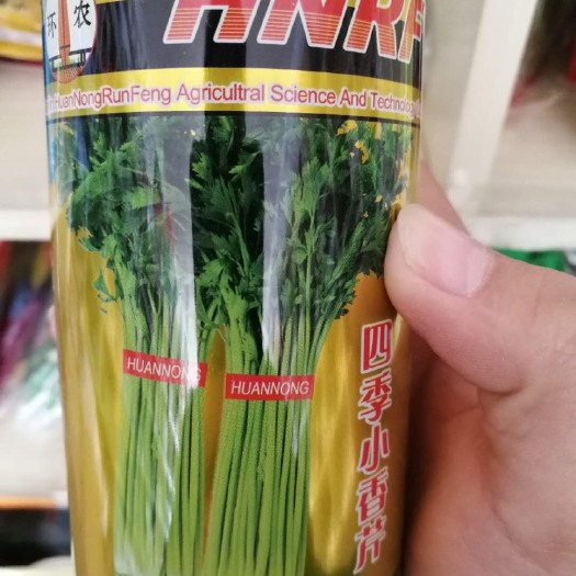 夏邑县 【精】四季小香芹 芹菜种子