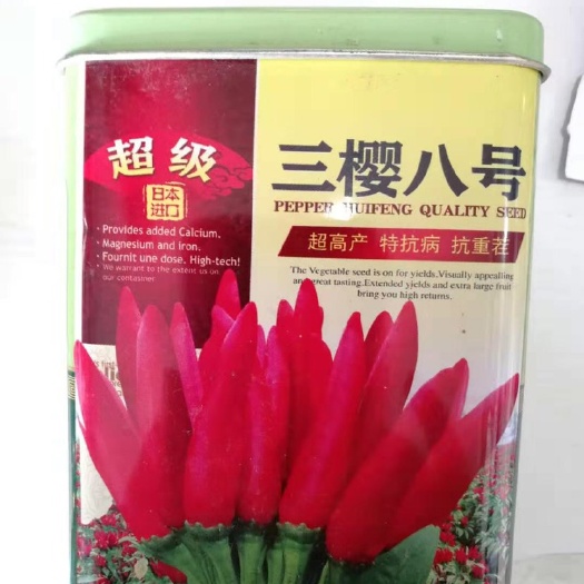 夏邑县 三英八号超级辣椒种子 红辣椒种子