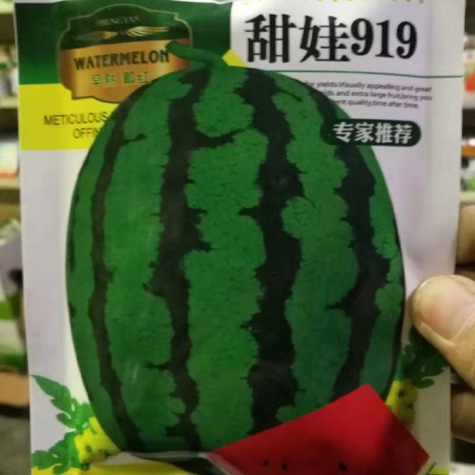 夏邑县 甜娃919西瓜种子早熟开花后27天成熟