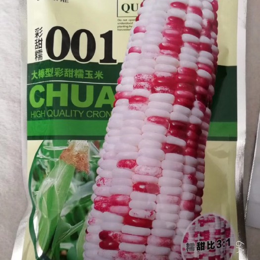 夏邑县 【精】甜彩糯玉米种子大棒型