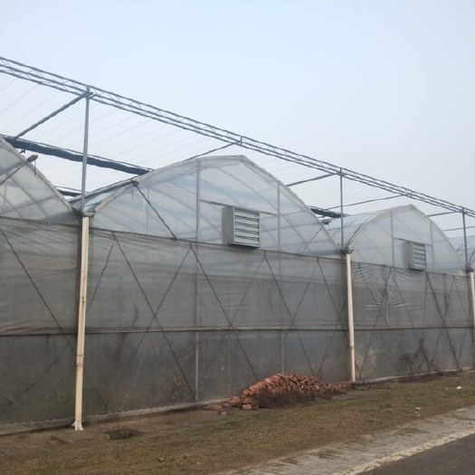 无锡 厂家直销养殖大棚管温室果蔬花卉大棚实惠耐用