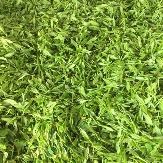 常宁市炒青茶 二级 袋装