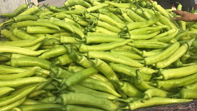 方城县黄皮辣椒 特辣 混装通货 黄色