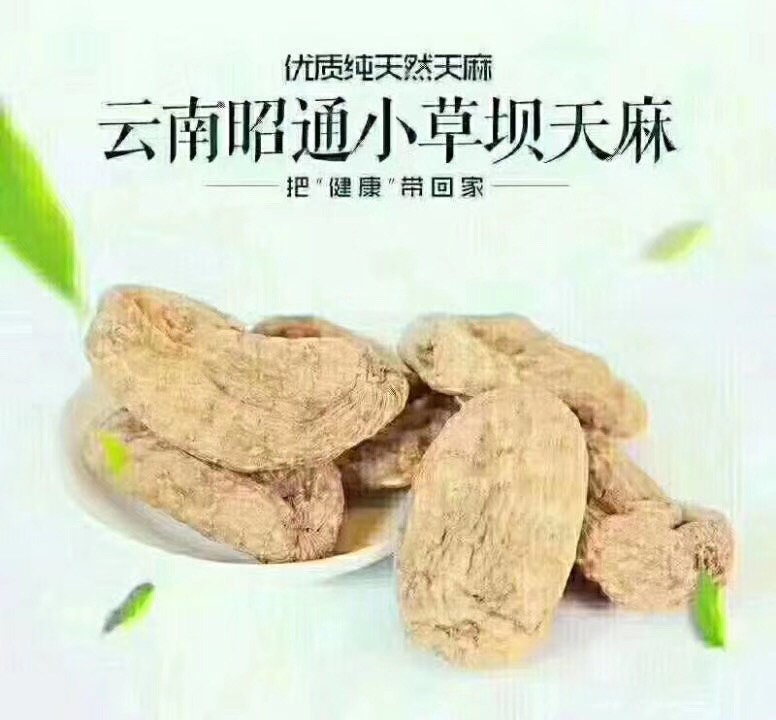 【精品】云南昭通小草坝天麻（支持电商微商一件代发）