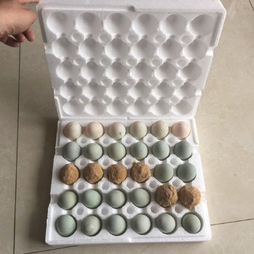 唐河县珍珠棉蛋托