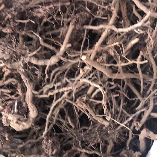 灵宝市茜草 无青头，无杂，粗细混装