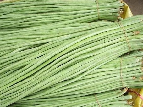 郑州 大量批发长豆角，供应市场菜场超市，量大从优，郑州本地送货
