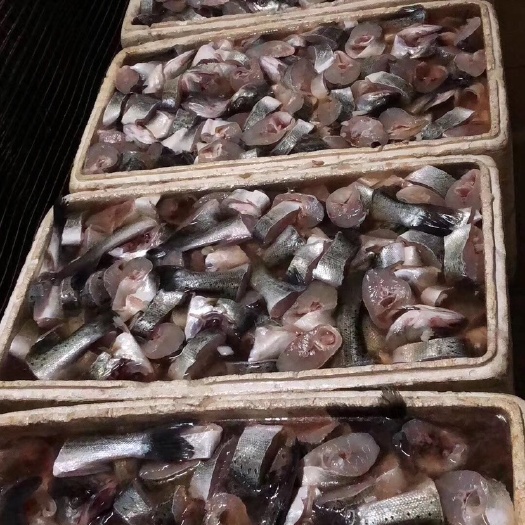 广州 鲈鱼干，白仓干