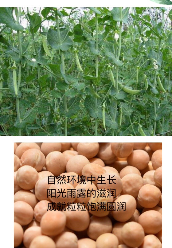 豆面 云南大理山地纯豌豆粉