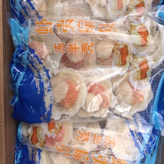 杭州 半壳扇贝