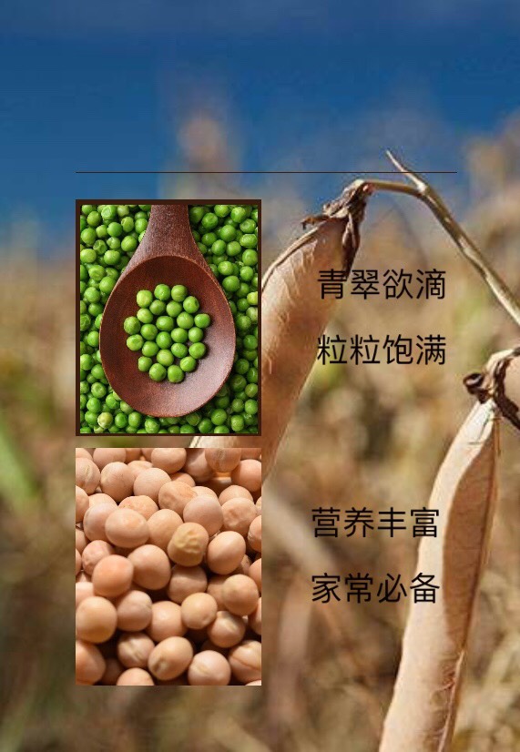 豆面 云南大理山地纯豌豆粉