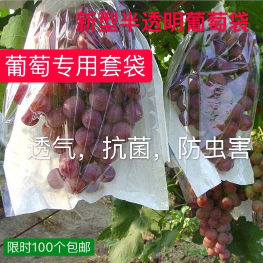 莱阳市葡萄套袋 半透明葡萄袋抗菌透气