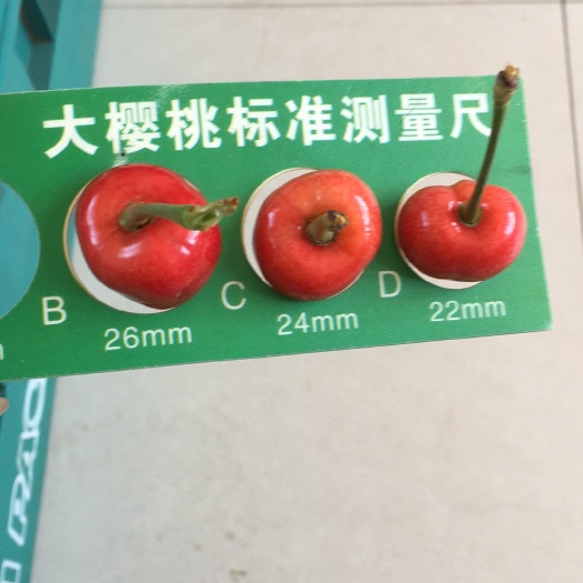 烟台红灯樱桃 22-24mm 5-8g 酸酸的是对我最好的评价