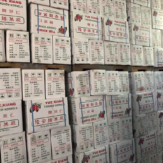 郑州 越南320、240、腰果一手货源批发