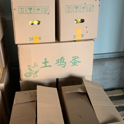 霍邱县 长期大量供应鲜鸡蛋，土鸡蛋，海兰灰和花凤鸡。量大从优。