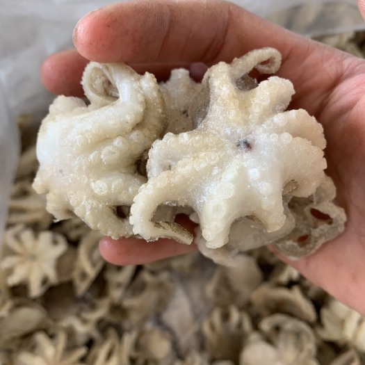 连云港深海海鲜 三去八爪鱼这款是冰衣极少的