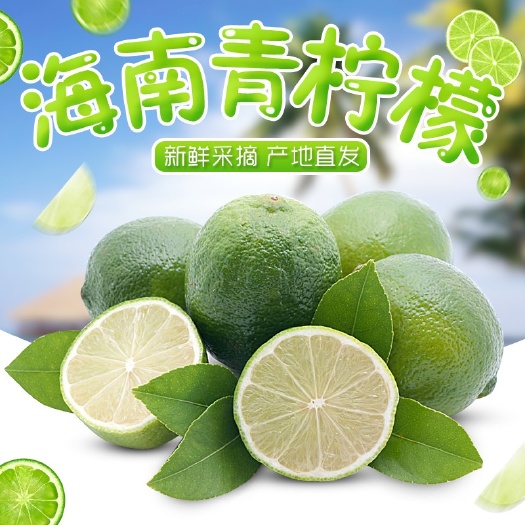 文昌市 海南青柠檬支持一件代发3斤装12.5包邮