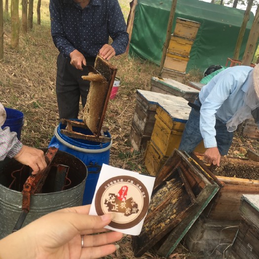 诏安县 2019年纯正农家蜜~富硒荔枝蜜