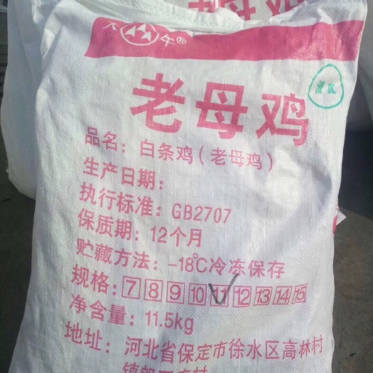 保定淘汰鸡 厂家发货，一手货源，货量充足