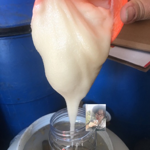 诏安县桂花蜜 自家蜜蜂群酿造的纯正野桂花冬蜜