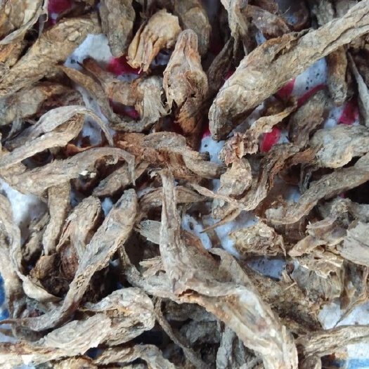 海兴县 饲料鱼干