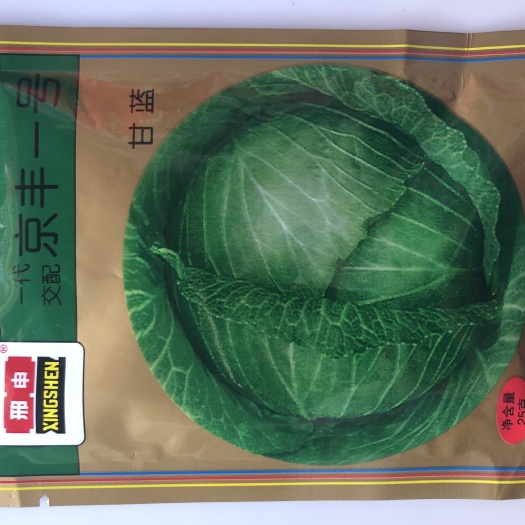 平远县绿甘蓝种子  刑申京丰一号甘蓝种子 包菜种子