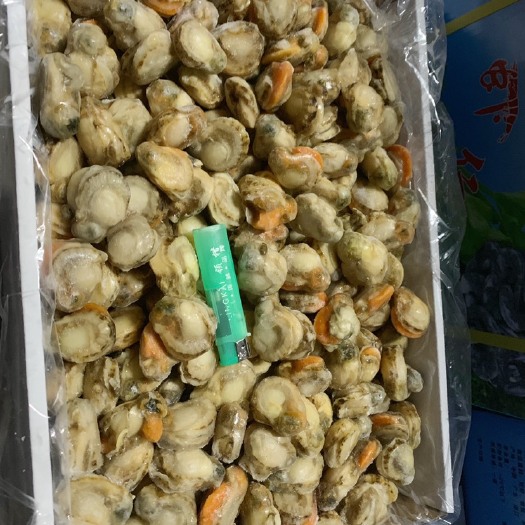 成都 红运当头扇贝肉，发财红贝