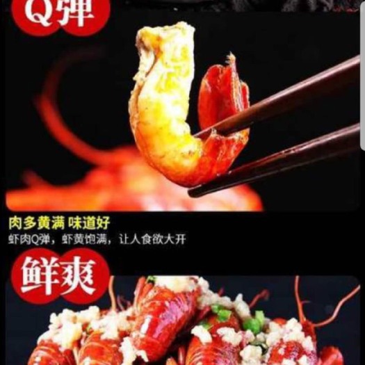 颍上县 颍上八里河小龙虾现货个个生龙活虎