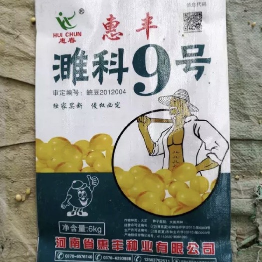 夏邑县黄豆种子 淮科9号大豆种子