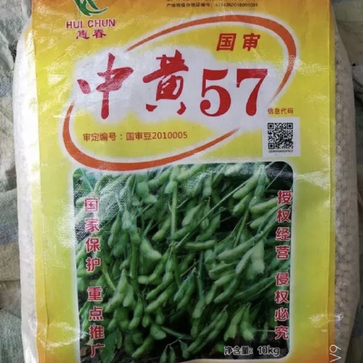 夏邑县黄豆种子 精选大豆种子
