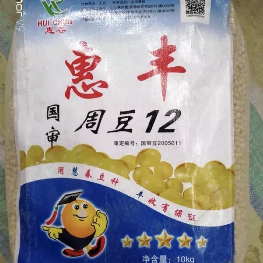 夏邑县 惠丰周豆12黄豆种子