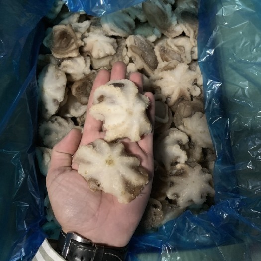 成都 盐磨八爪鱼