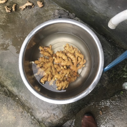 小黄姜 4~6两 带土