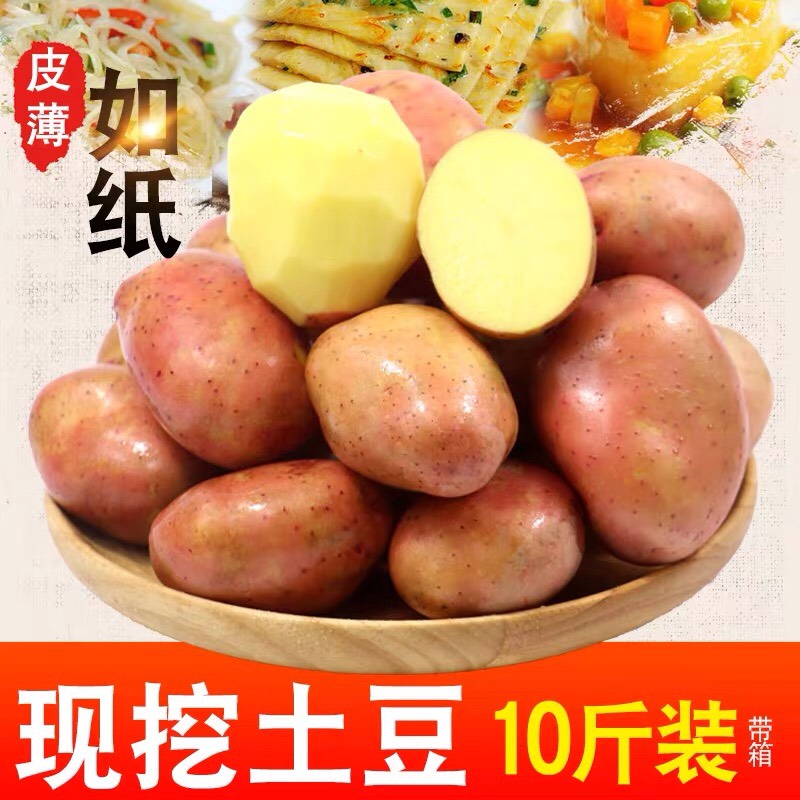 宜都市新鲜土豆现挖 促销价 小土豆优惠装