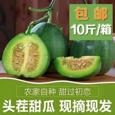 礼泉县绿宝甜瓜 0.5斤以上