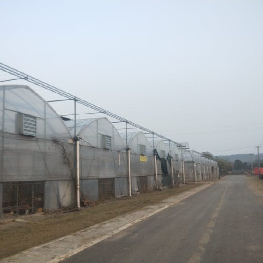 无锡单体棚 厂家直销单体大棚温室大棚管型号齐全量大可优惠