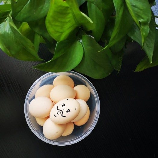 北京富硒鸡蛋 箱装 食用
