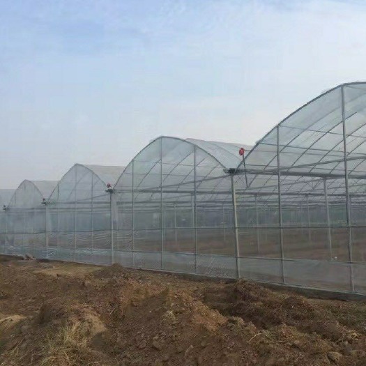 无锡单体棚 单体大棚管蔬菜瓜果大棚量大从优特殊规格可定做