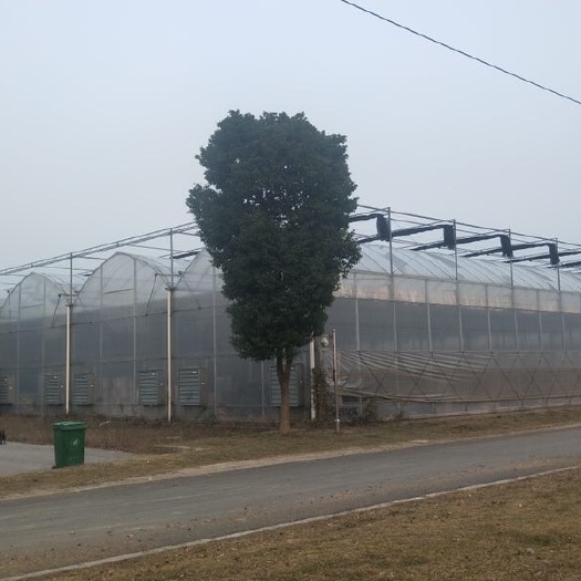 无锡文洛式温室大棚 供应农用大棚温室大棚钢管，诚信质保可安装指导